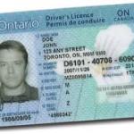 Canada Drivers Licenses