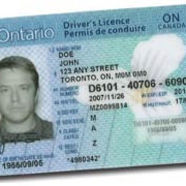 Canada Drivers Licenses