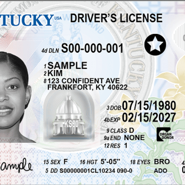 US Driving License